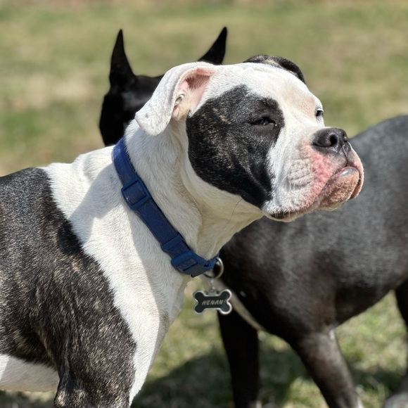 Meet your Posher, Gina - Picture 6 of 11